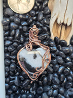 White Buffalo Heart